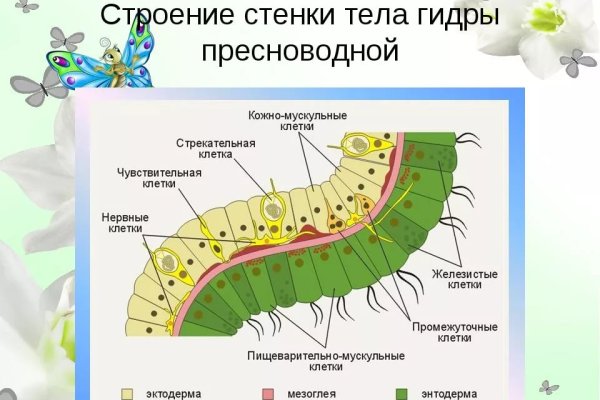 Ссылка com омг