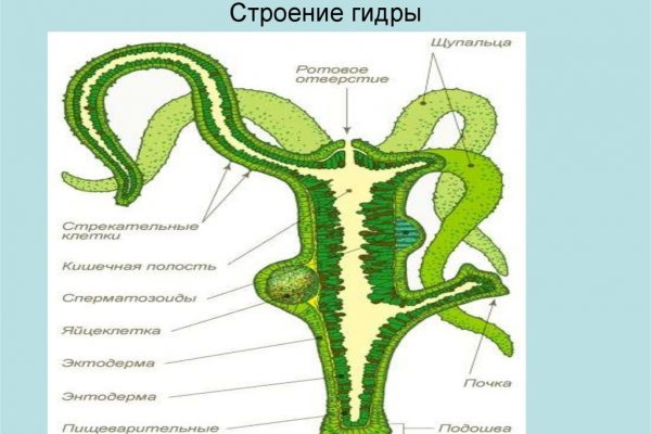 Телеграмм магазин гашиш