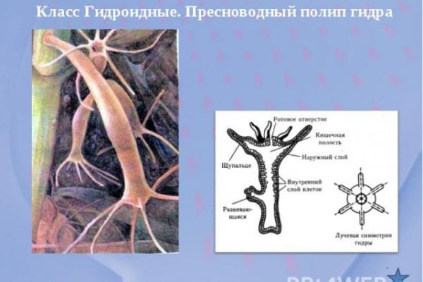 Ссылка на омг площадку рабочая